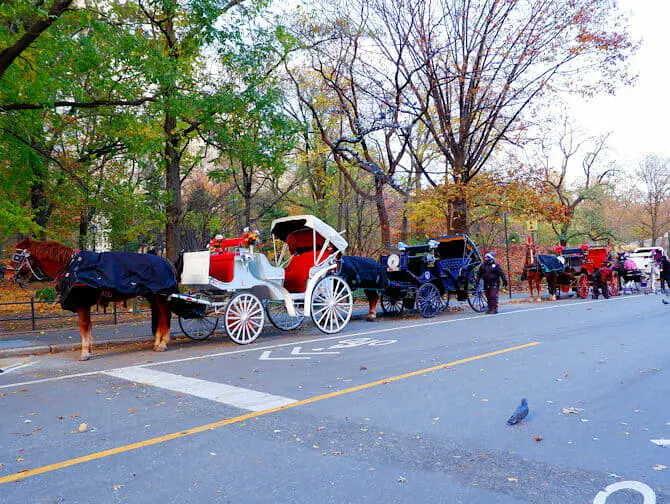 Häst och vagn genom Central Park - vagnar