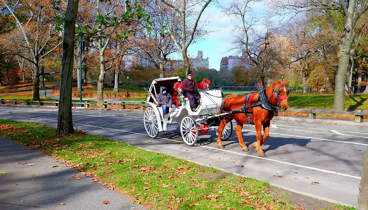 Häst och vagn i Central Park - vagn