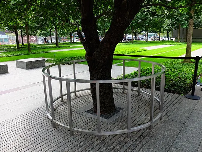 9/11 Memorial i New York - Survivor Tree