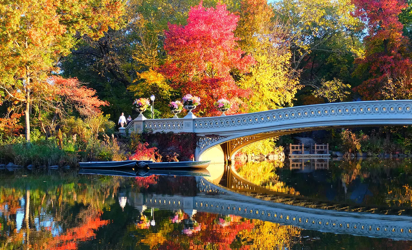 Central Park - Bow Bridge