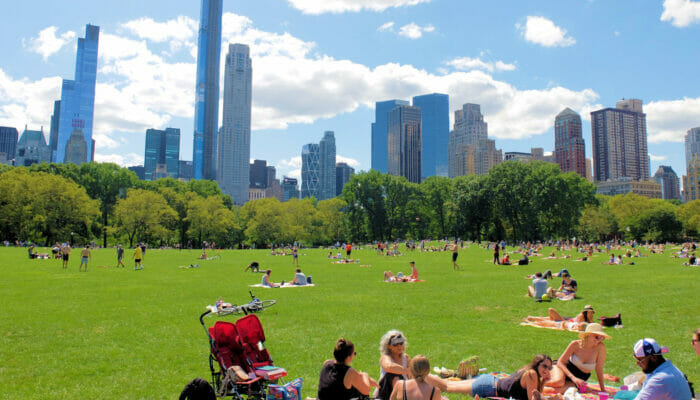 Central Park - Sheep Meadow
