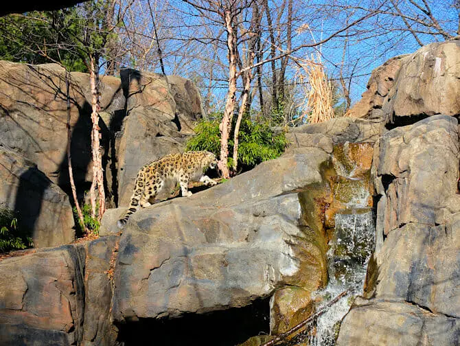 Central Park i New York - Zoo