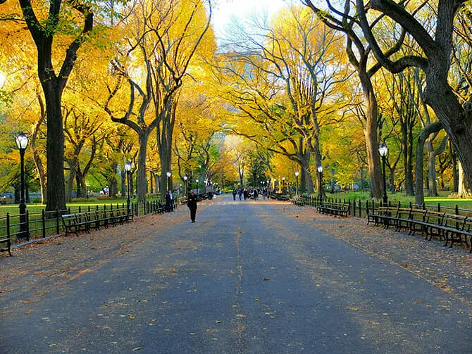 Central Park