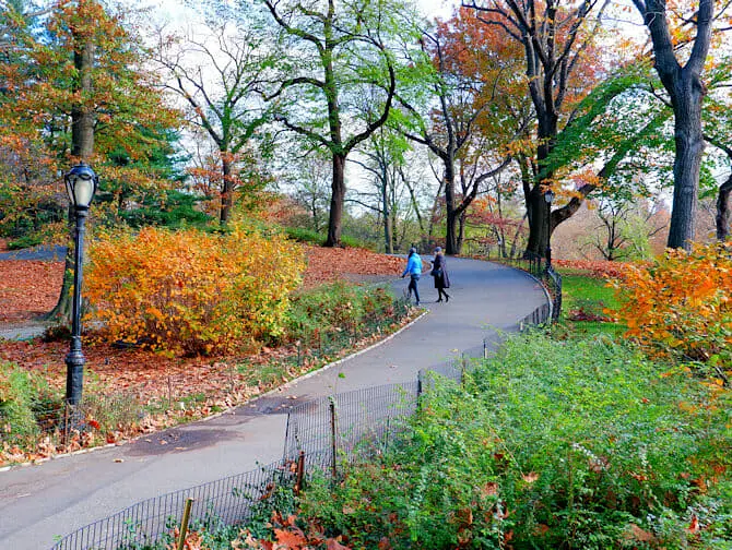 Parker i New York