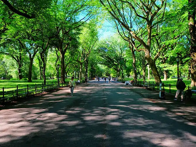 Labor Day i New York - Promenera i Central Park