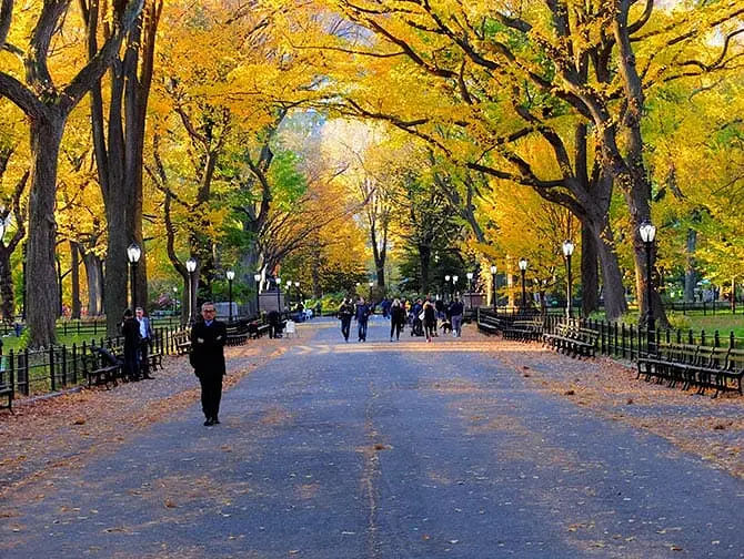 Central Park Movie Sites rundvandring - The Maill