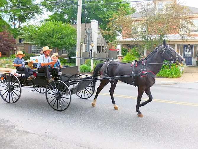 Dagsresa från New York till Philadelphia och Amish Country - Besök amisherna