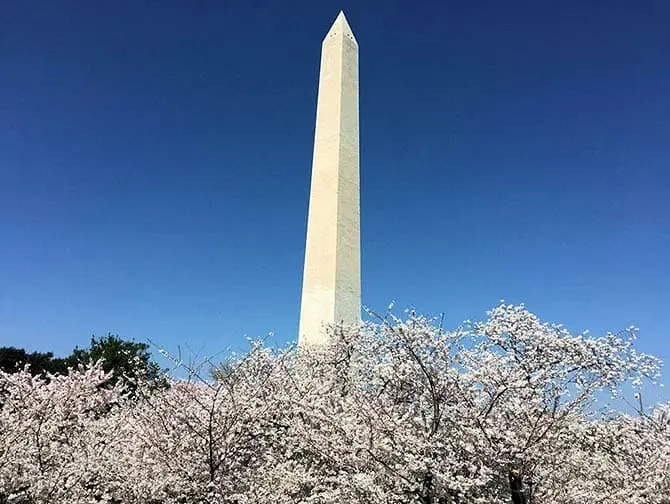 Washington DC dagsresa - Monument