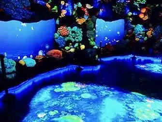 National Geographic Encounter Ocean Odyssey - Deep Sea