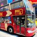 Hop on Hop off buss rundturer