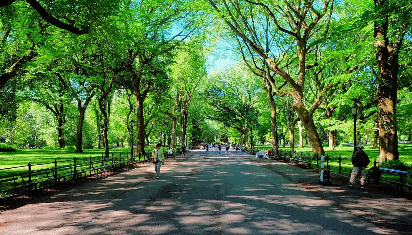 Mors dag i New York - Central Park