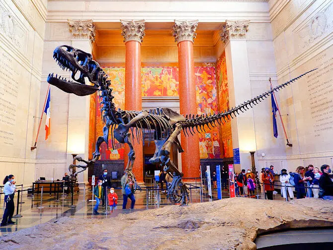 American Museum of Natural History i New York T Rex