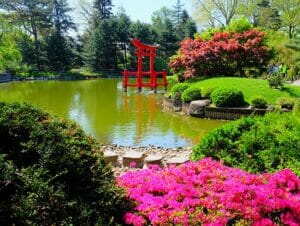 Botaniska trädgårdar i New York