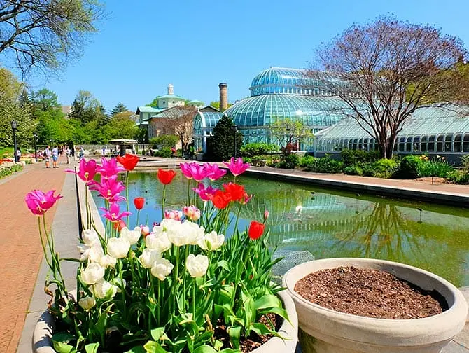 Botanical Gardens i New York - Brooklyn Botanic Garden