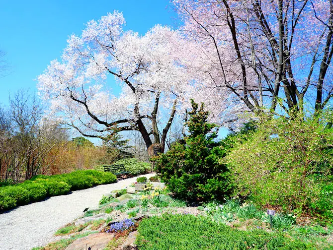 Botaniska tr&auml;dg&aring;rdar i New York - New York Botanical Garden i Bronx
