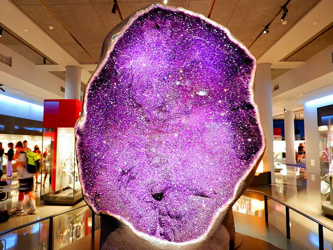 American Museum of Natural History i New York - Utställning