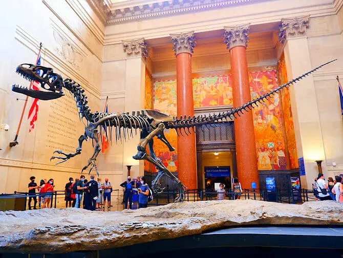 Go City All Inclusive New York Pass - Museum