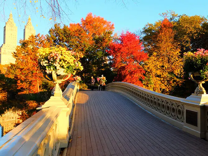 New York promenadrutter - Central Park intryck