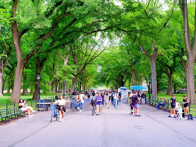 New York promenadrutter - Central Park