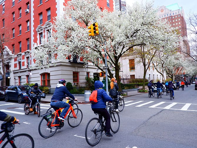 Guidade cykelturer i New York - Highlights Tour