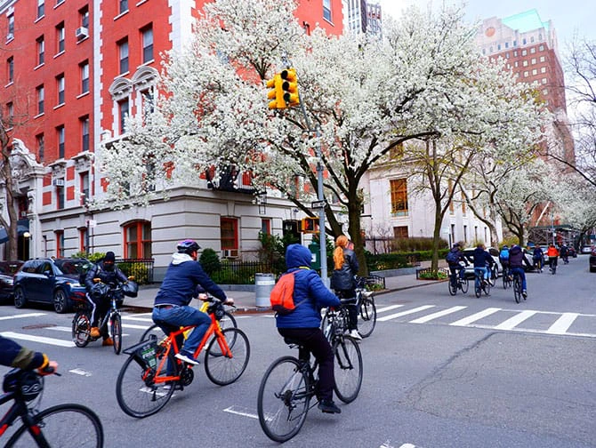 Guidade cykelturer i New York - Highlights Tour