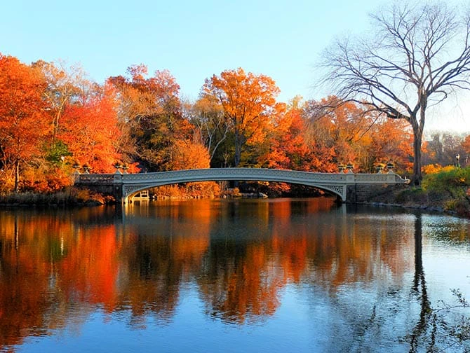 Guidade cykelturer i New York - Bow Bridge