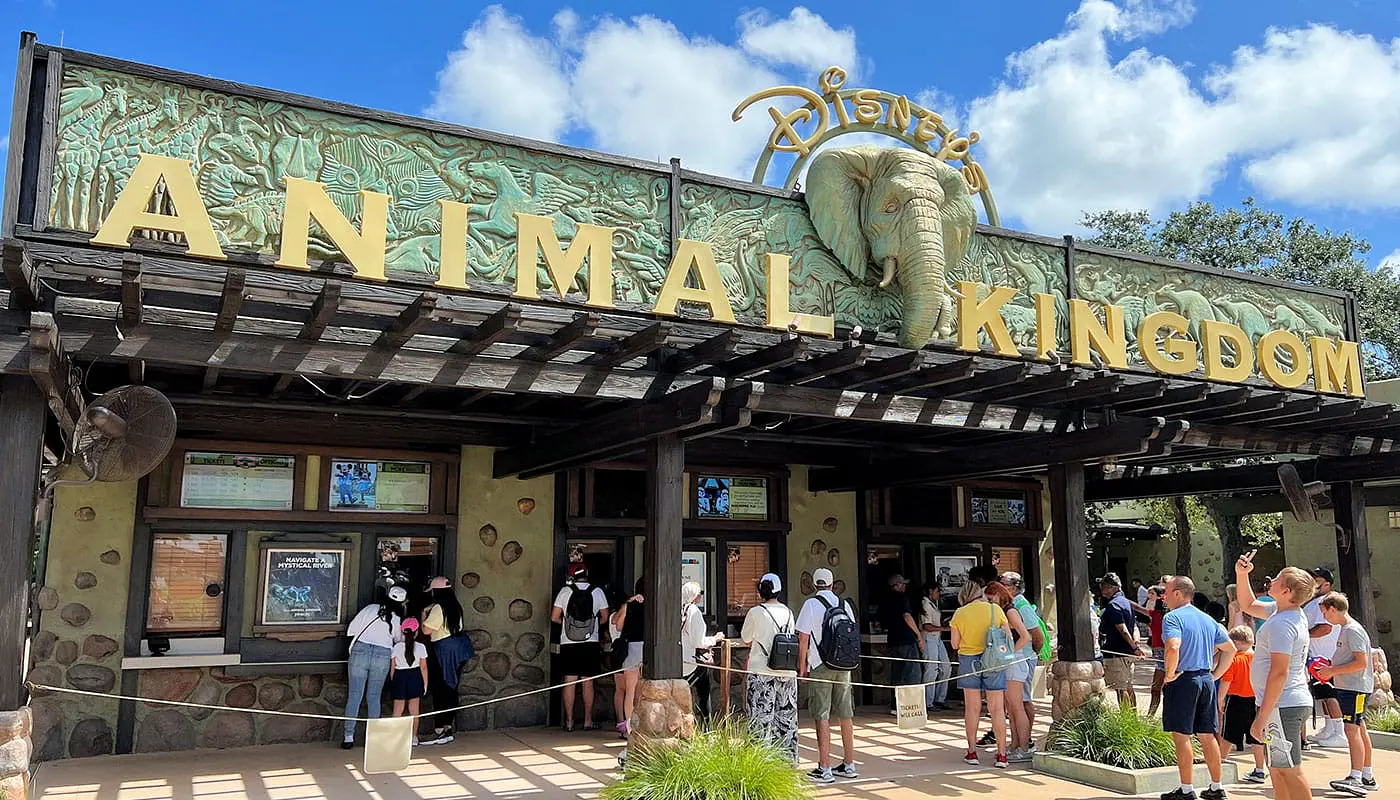 Kombinera New York och Orlando - Disneys Animal Kingdom Theme Park