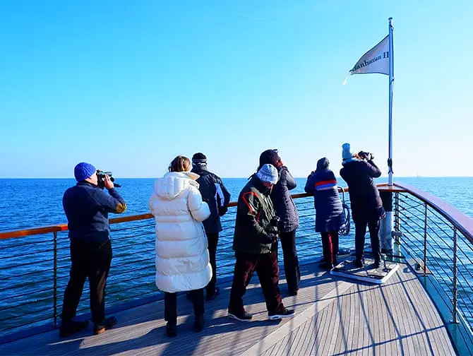 Båttur med sälskådning och fågelskådning i New York