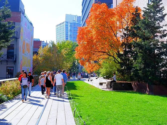 High Line Park i New York - Natur