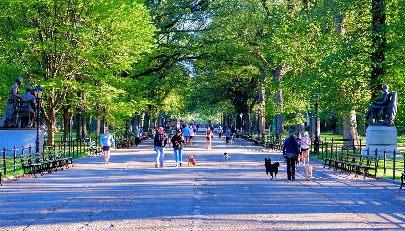 New York-bor – Människor som bor i New York