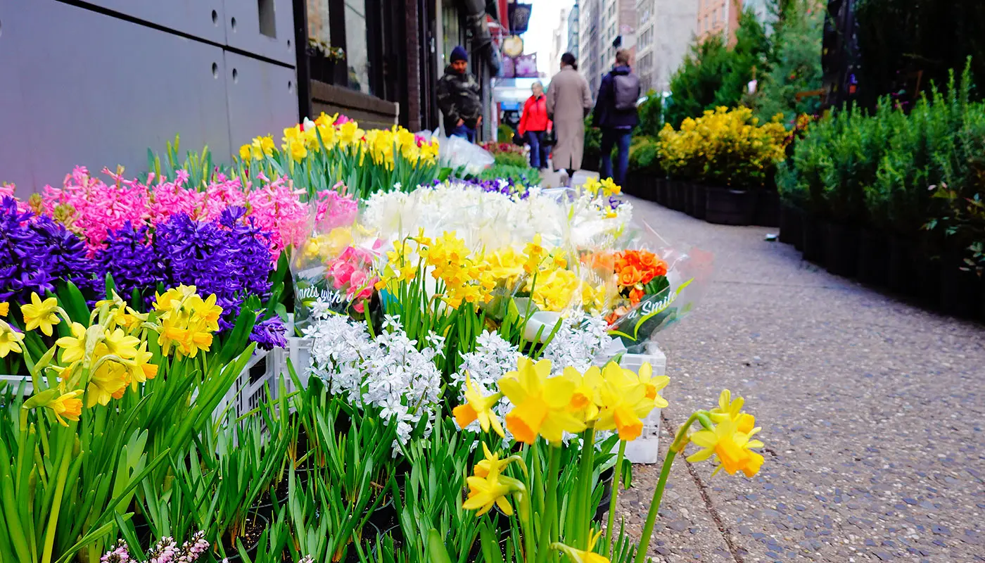 Hotell i Midtown Manhattan - Cambria Hotel New York Chelsea