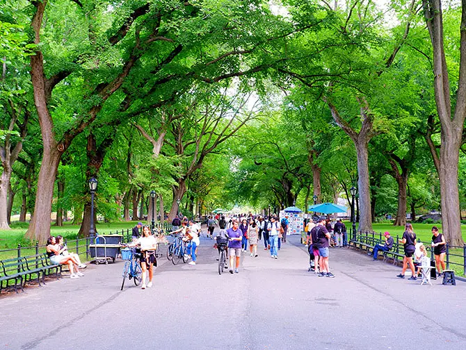 Promenadrutt genom Central Park i New York